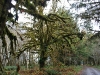 Olympic National Park, Washington